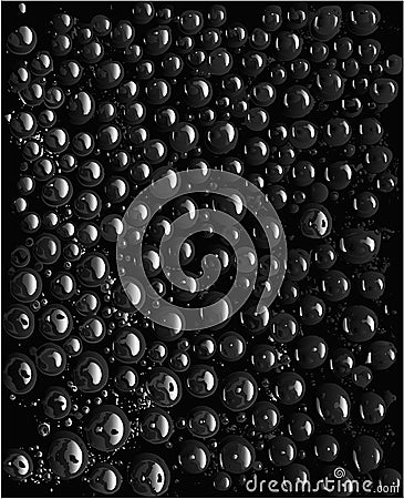 Realistic water droplets on black background Vector illustration Vector Illustration