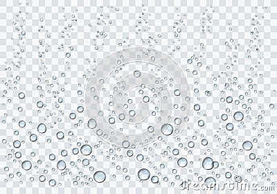 Realistic water droplets on the transparent background. Vector Illustration