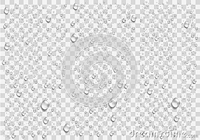 Realistic water droplets on the transparent background. Vector Illustration