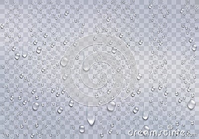 Realistic water droplets on the transparent window. Vector Illustration