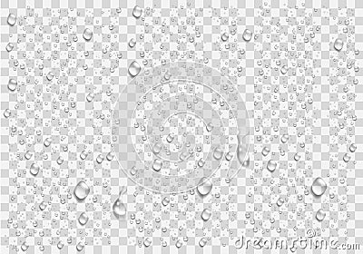 Realistic water droplets on the transparent window. Vector Illustration