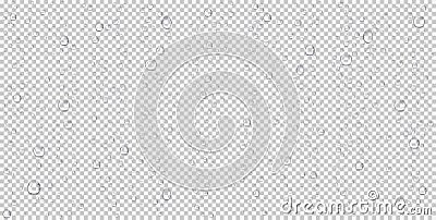 Realistic water drops, steam bubbles or condensation. Raindrops on transparent background. Vector Illustration