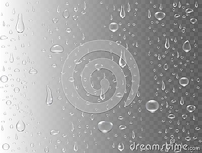 Realistic water drops on transparent background. Rain drops or steam shower. Condensed pure droplets. Clear vapor Vector Illustration