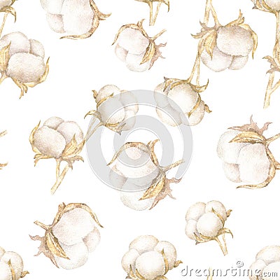 Realistic watercolor illustration of cotton isolated on white background. Pattern for textile, fabric clothing Cartoon Illustration