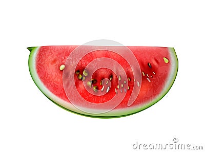 Realistic Watermelon Slice Composition Vector Illustration