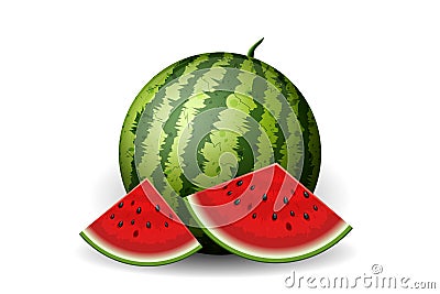 Realistic watermelon with slices isolated on white Vector Illustration
