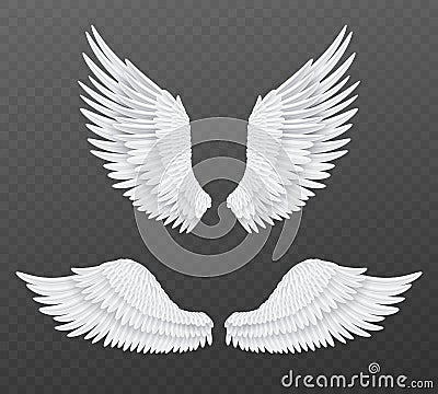 Realistic wings. Beautiful isolated angel wings, pair of 3d birds white feathers, freedom and spiritual symbols flight Vector Illustration