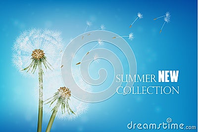 Realistic Wither Dandelion With Flying Seeds Vector Illustration