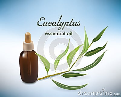 Realistico foglie di eucalipto e contagocce olio essenziale per fitoterapia o cosmetici Cartoon Illustration