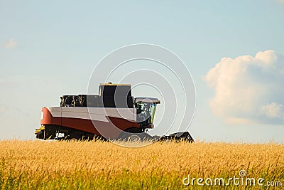 Reaping machine. Combine harvester in the field during the harvest. Stock Photo