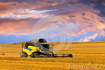 Reaping machine or harvester combine on a wheat field with a very dynamic sky Stock Photo