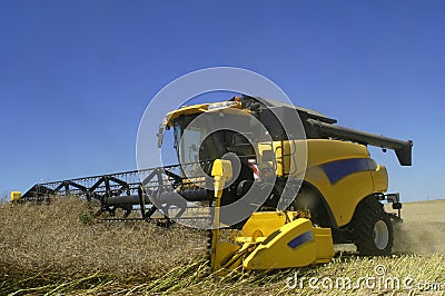 Reaping-machine threshing-machine with work Stock Photo