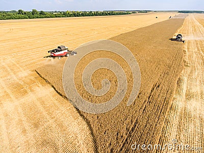 Reaping thresher machines are on agricultural field during crop year, harvesting cereal, Russia Stock Photo