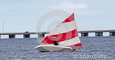 Rear view of a boy sailing a sunfish sailboat in the bay with a strong wind Editorial Stock Photo