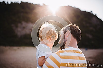 Rear view of father with a toddler boy standing on beach on summer holiday at sunset. Stock Photo