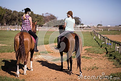 Rear view of female friends sitting on horse Editorial Stock Photo