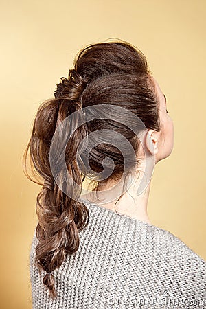 Rear view of female hairstyle volume braid with brown hair. Stock Photo