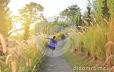 Rear view little child girl using hand to touching wild grass at sunrise Stock Photo