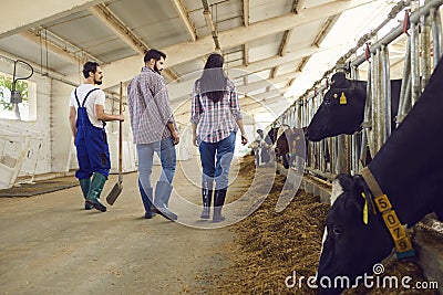 Rear view of a pair of young farmers with a farm worker in a cowshed walking past a row of cows. Stock Photo