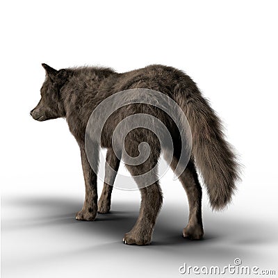 Rear View Render of a Black Wolf Looking into the Distance Cartoon Illustration