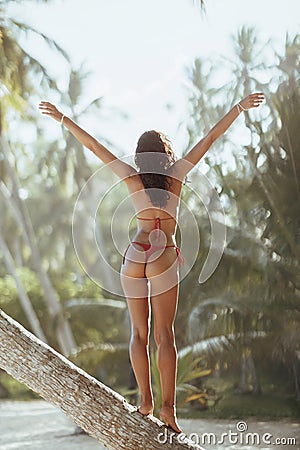 Rear View of Tanned Woman in Red Bikini on Palm Tree at Beach Resort Stock Photo