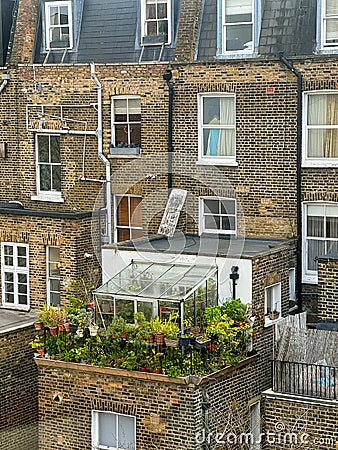 Rear view of terraced brick houses in Kensington, London, with greenhouse Stock Photo