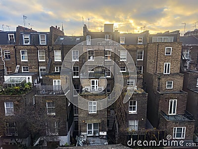 Rear view of terraced brick houses in Kensington, London, at sunrise Stock Photo