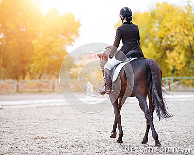 Rear view of young rider woman on bay horse Stock Photo