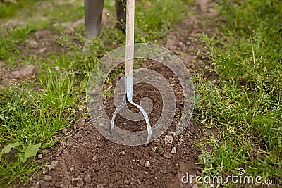 Rearer weeding garden bed at farm Stock Photo