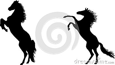 Rearing horses in silhouette Vector Illustration