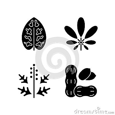 Reason for allergy black glyph icons set on white space Vector Illustration