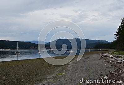 Rebecca Spit beach landscape, Quadra Island BC Stock Photo