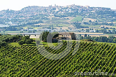 Recanati (Marches, Italy) Stock Photo