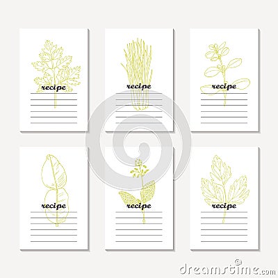 Recipe cards collection with hand drawn spicy herbs. Sketched chervil, lovage, lemongrass, marjoram, kaffir lime, borage Vector Illustration