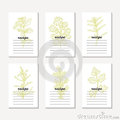 Recipe cards collection with hand drawn spicy herbs. Sketched tarragon, cilantro, parsley, rosemary, oregano, savory Vector Illustration