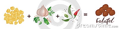 Recipe Falafel. Chickpea Onion Garlic Parsley Chilli Pepper Cumin, Coriander. Vegetables, Herbs, Speaces. Vector. Vector Illustration