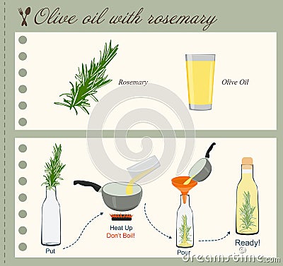 Recipe of Olive Oil with Rosemary Vector Illustration