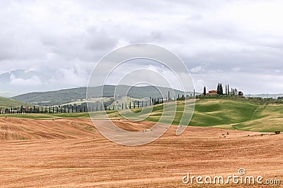 Recognizable Tuscany landscape consisting of a long line of thin cypresses along the driveway to the farm Stock Photo