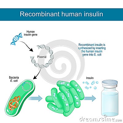 Recombinant DNA technology Vector Illustration