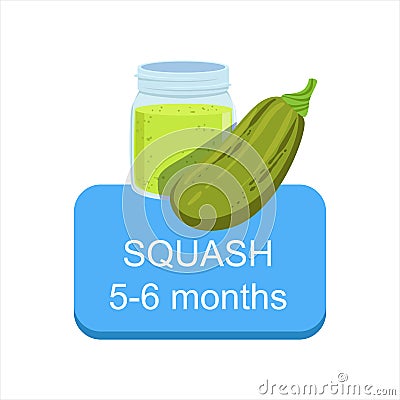 Recommended Time To Feed The Baby With Fresh Squash Cartoon Info Sticker With Fresh Vegetable And Puree In Jar Vector Illustration