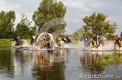 Reconstruction of the life of cowboys in the Wild West during the colonization of North America, Moscow region Editorial Stock Photo