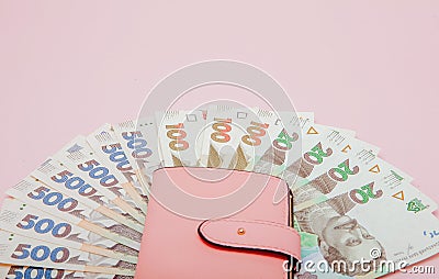 Recount money ukrainian hryvnia bills in wallet. Finance crisis in Ukraine, the fall of the hryvnia to the dollar exchange rate Stock Photo