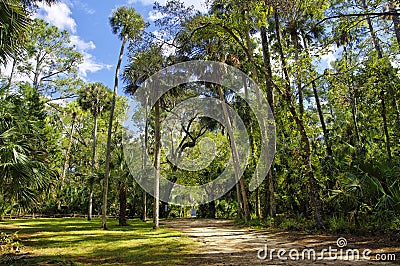 The recreation area in the Ocala National Forest located in Juniper Springs Florida Stock Photo