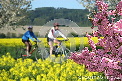 Recreation on bikes Stock Photo