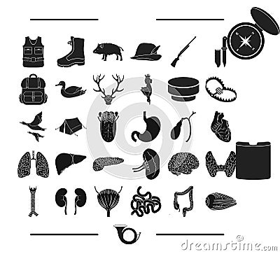 Recreation, hunting, entertainment and other web icon in black style.study, attributes, nature icons in set collection. Vector Illustration