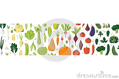 Rectangle rainbow concept full of various veggies Vector Illustration