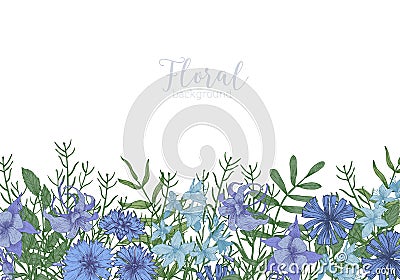 Rectangular background decorated with blue wild blooming flowers and meadow flowering herbs at bottom edge. Gorgeous Vector Illustration