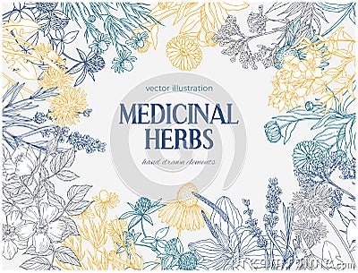 Rectangular card template with vintage sketches of medicinal herbs and flowers Vector Illustration