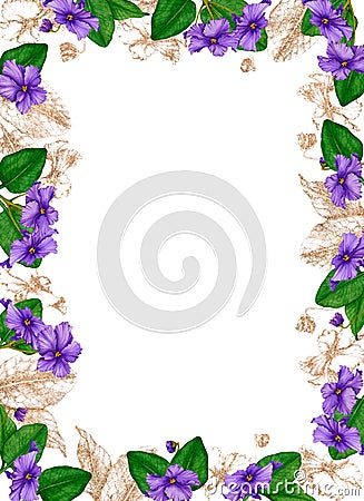 Rectangular floral frame of African violets (saintpaulia). Hand drawn watercolor and gold. Stock Photo