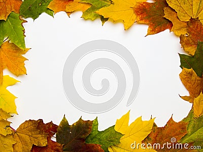 Rectangular frame from autumnal leaves Stock Photo